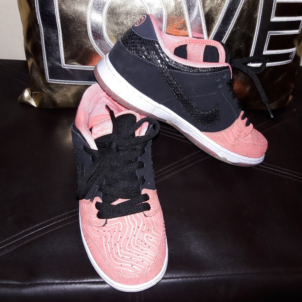 NIKEDUNK LOW PREMIUM SB "PREMIER FISH LADDER"